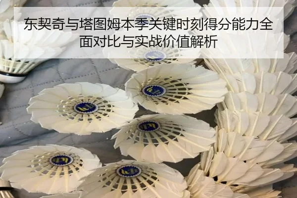 东契奇与塔图姆本季关键时刻得分能力全面对比与实战价值解析